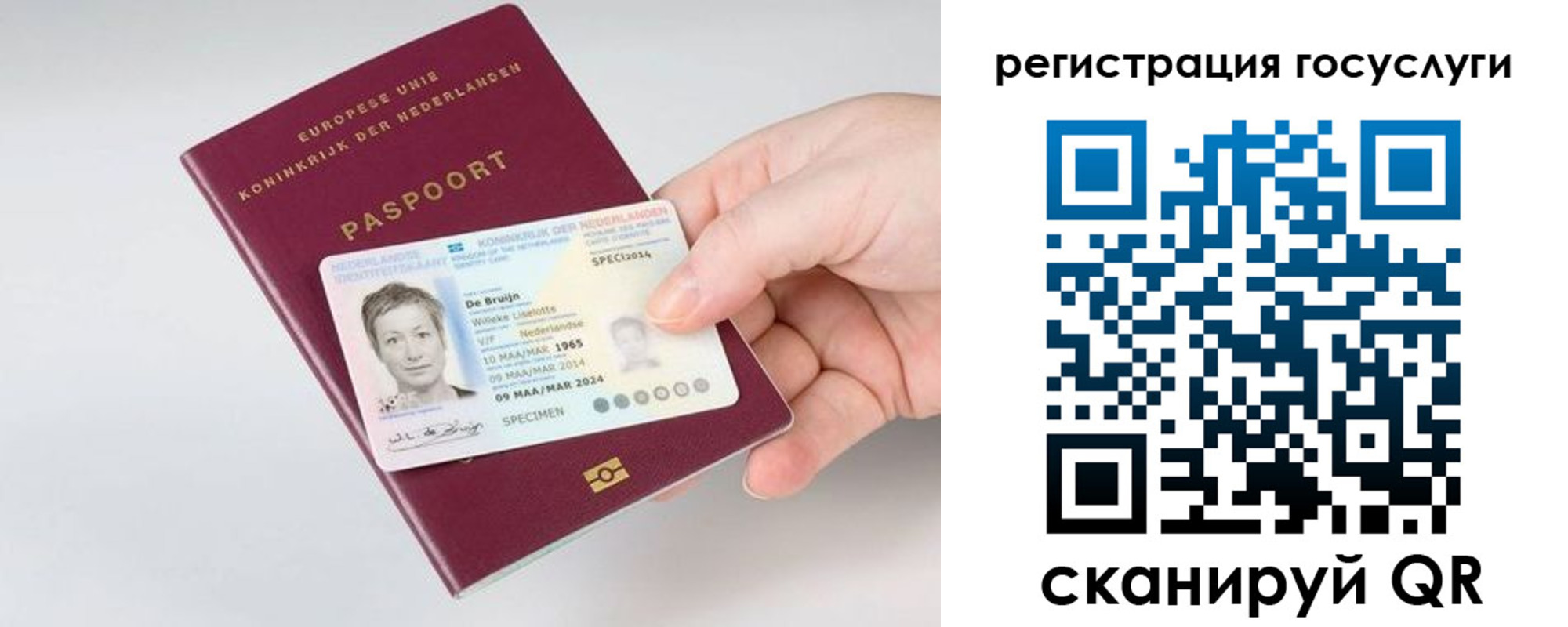 регистрация для дет. сада в Аткарске
